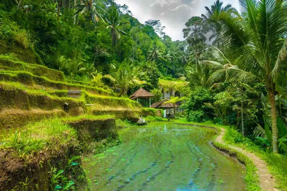 Bali