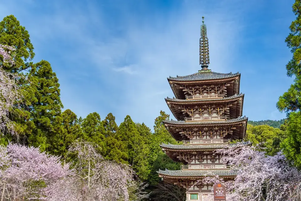 Kyoto